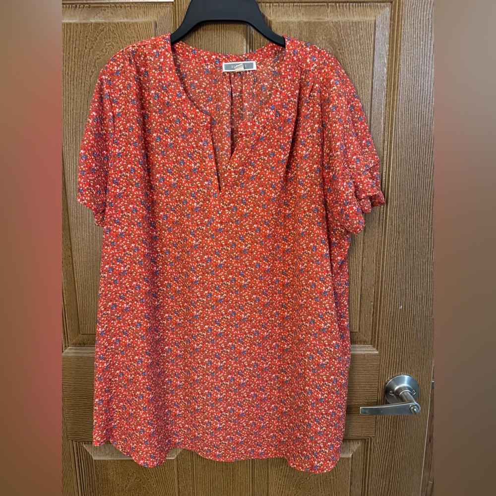 Pleione Red and Blue Floral Top